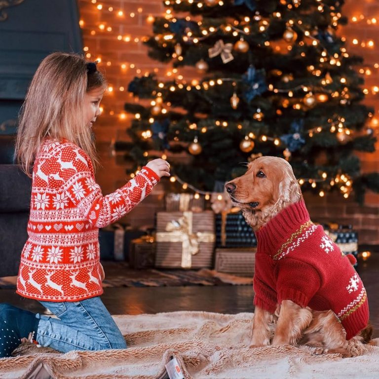 Dog Christmas Sweater